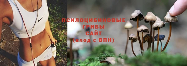 не бодяженный Каменск-Шахтинский