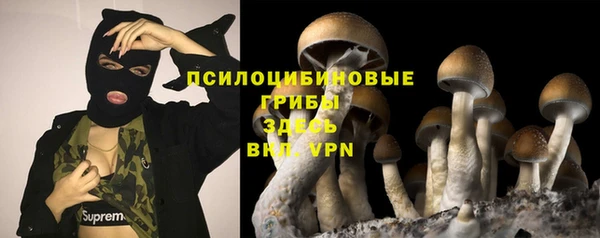 а пвп мука Каменногорск