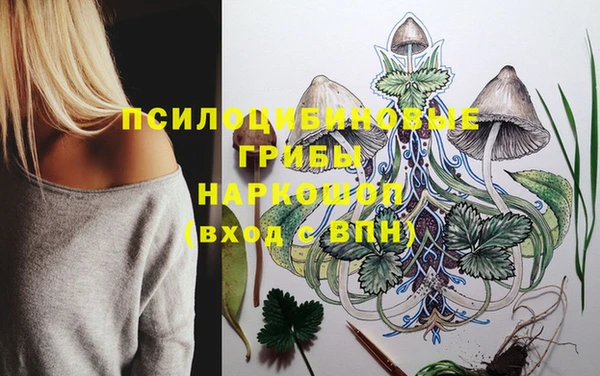 не бодяженный Каменск-Шахтинский