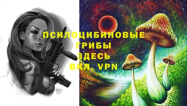 а пвп мука Каменногорск